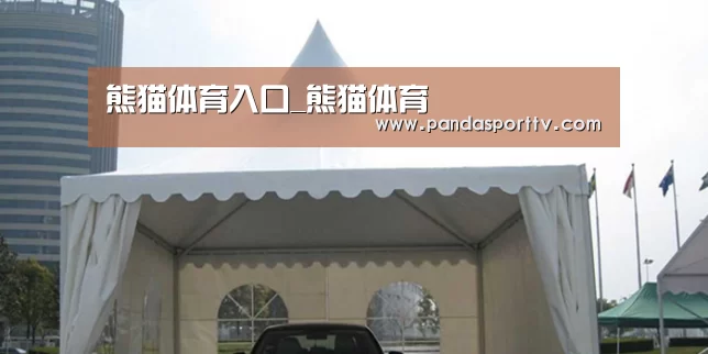 案例标题八