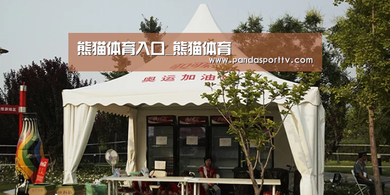 案例标题五