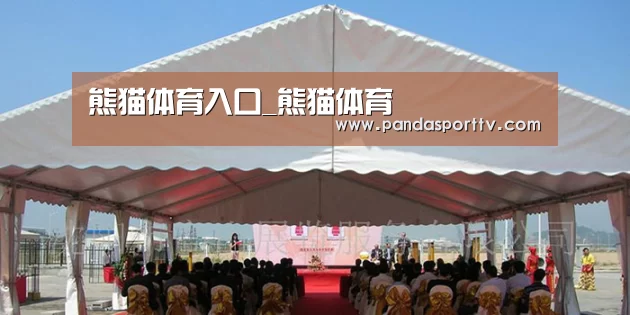 案例标题三