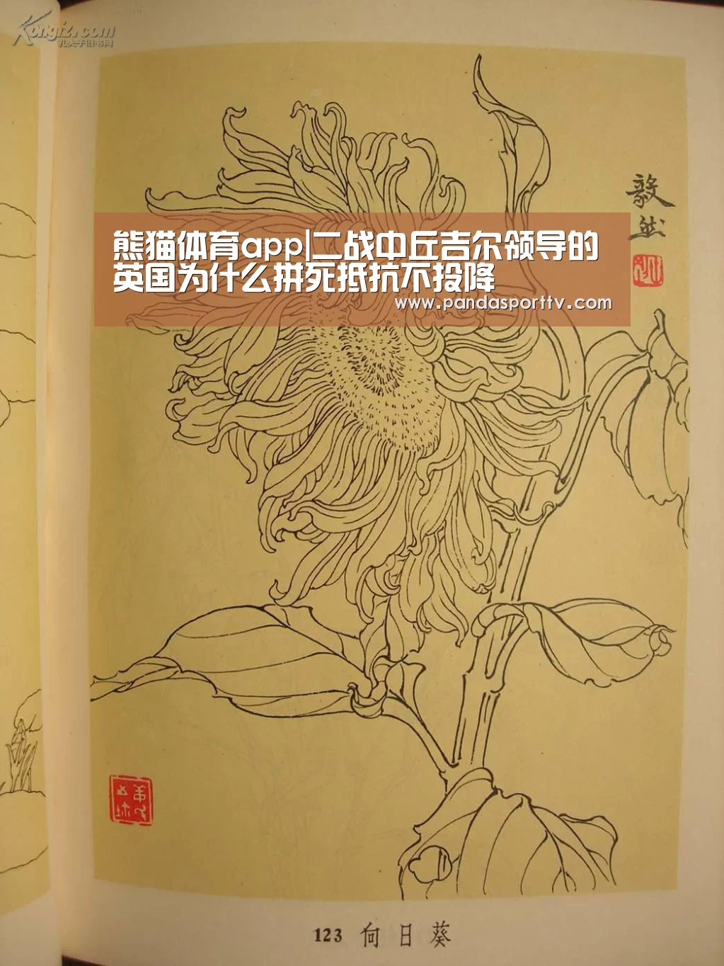 熊猫体育app|二战中丘吉尔领导的英国为什么拼死抵抗不投降(图1) 熊猫入口