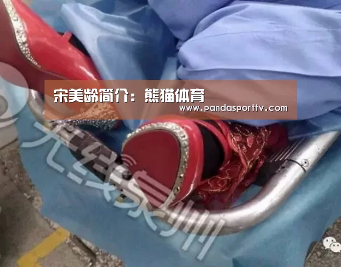 宋美龄简介:熊猫体育(图2) 熊猫体育官网