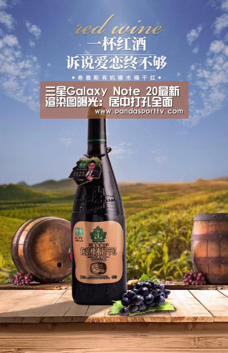 三星Galaxy Note 20最新渲染图曝光:居中打孔全面屏‘熊猫入口’(图1) 熊猫体育