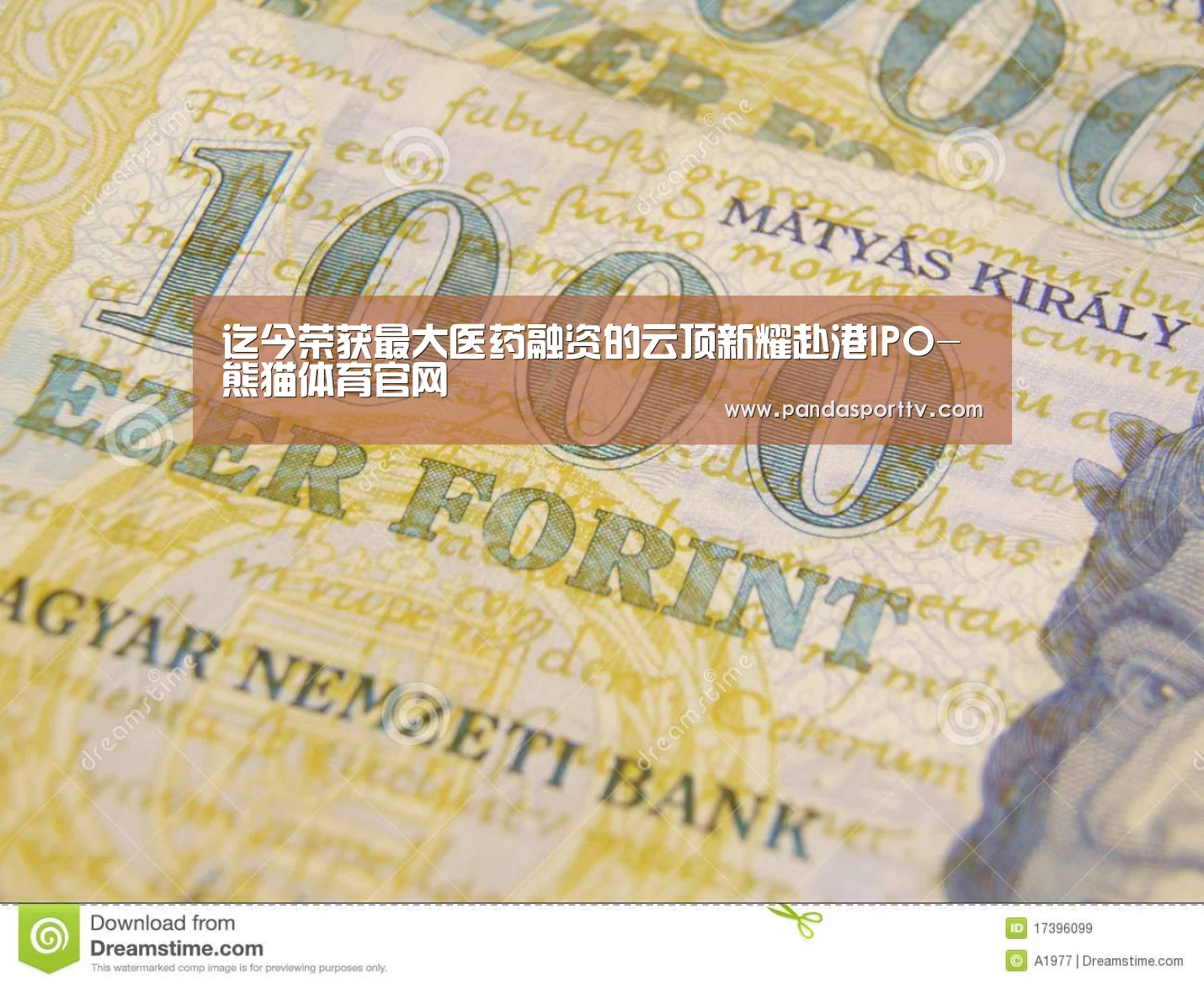 熊猫入口