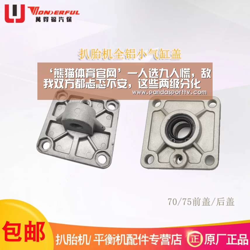 ‘熊猫体育官网’一人选九人慌,敌我双方都忐忑不安,这些两级分化的英雄有几位?(图4) 熊猫体育app