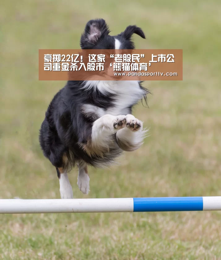 豪掷22亿!这家“老股民”上市公司重金杀入股市‘熊猫体育’(图2) 熊猫入口