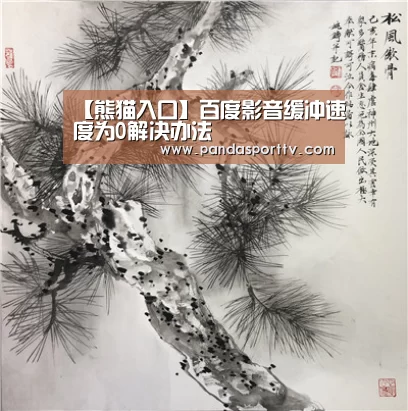 【熊猫入口】百度影音缓冲速度为0解决办法(图3) 熊猫体育
