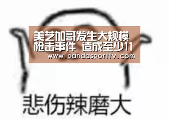 美芝加哥发生大规模枪击事件 造成至少11人受伤“熊猫体育官网”