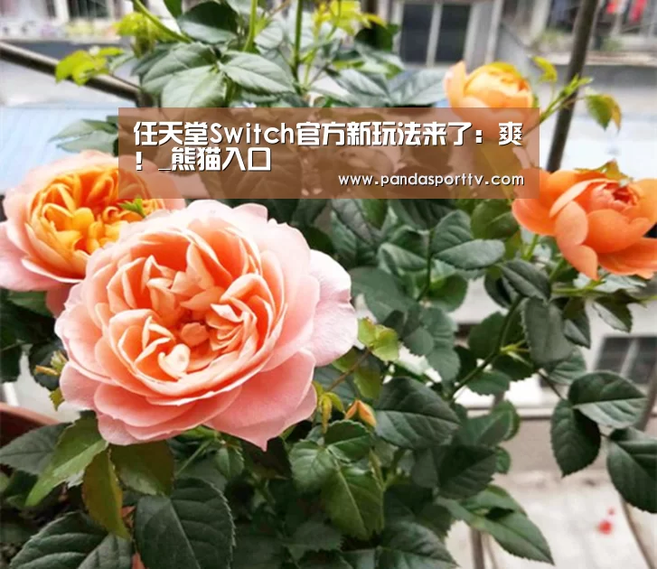 任天堂Switch官方新玩法来了:爽!_熊猫入口(图2) 熊猫体育官网