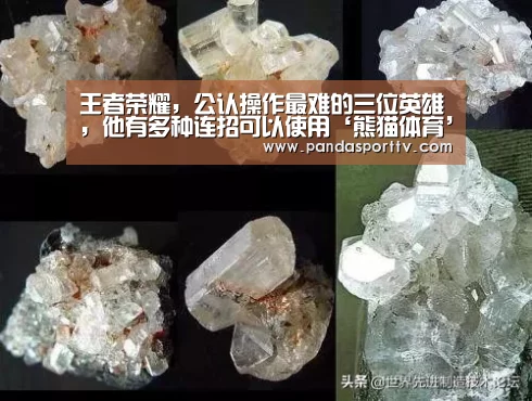 王者荣耀,公认操作最难的三位英雄,他有多种连招可以使用‘熊猫体育’(图1) 熊猫体育app