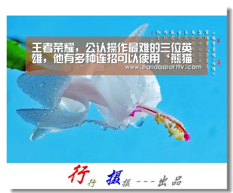 王者荣耀,公认操作最难的三位英雄,他有多种连招可以使用‘熊猫体育’(图2) 熊猫入口